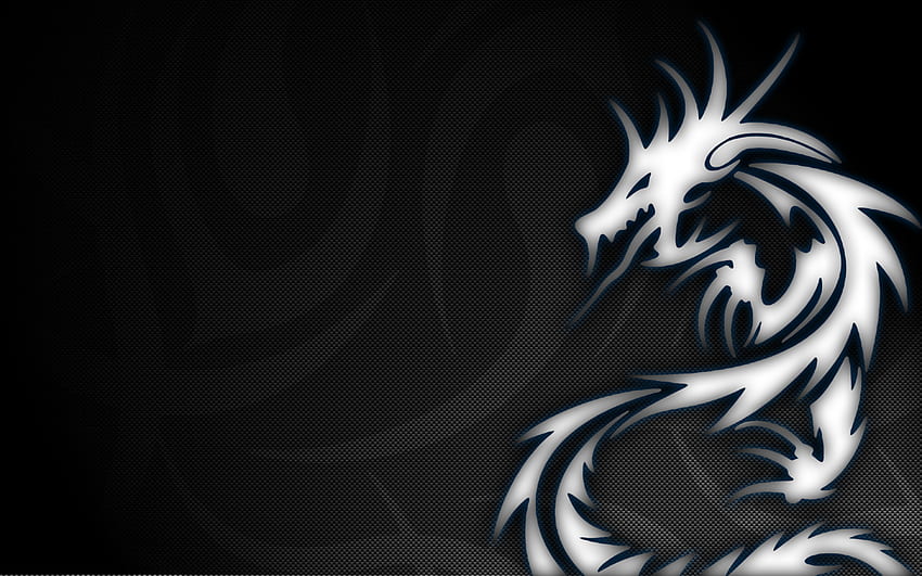 Tribal and Background , Black and White Tribal HD wallpaper