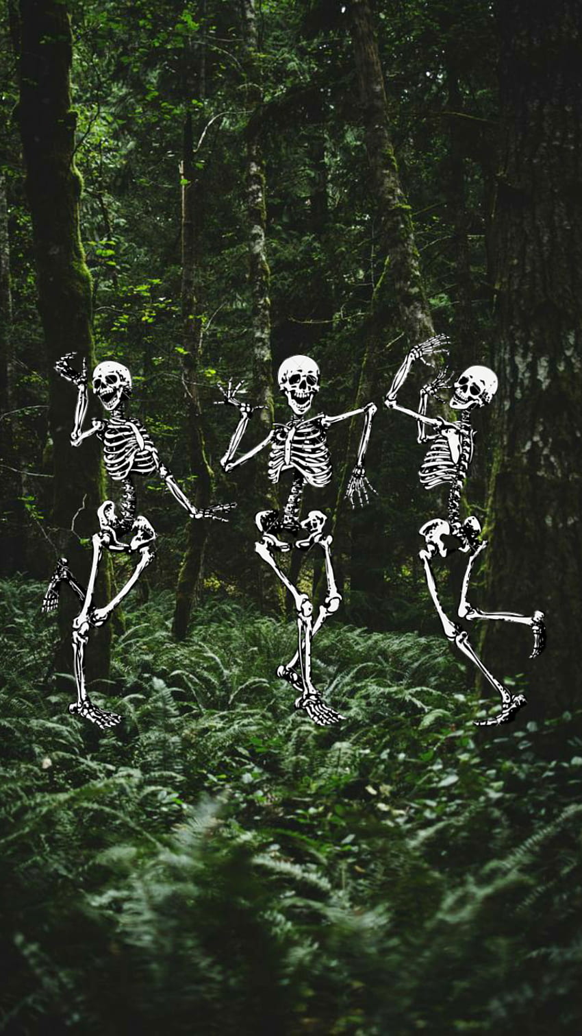 Dancing skeleton art dance trees HD phone wallpaper  Pxfuel