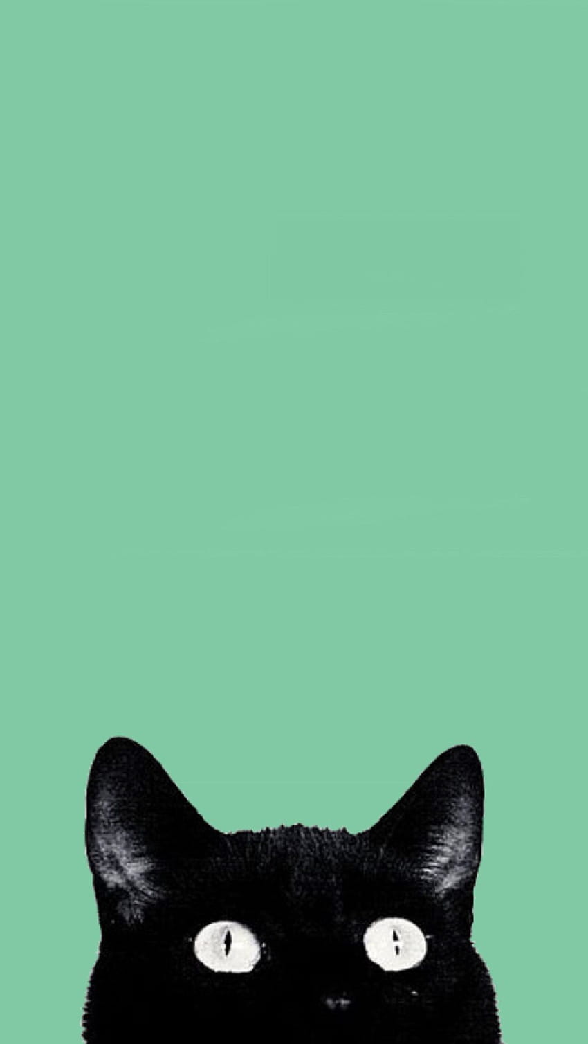 Losowe ekrany blokady, zielony kot Tapeta na telefon HD