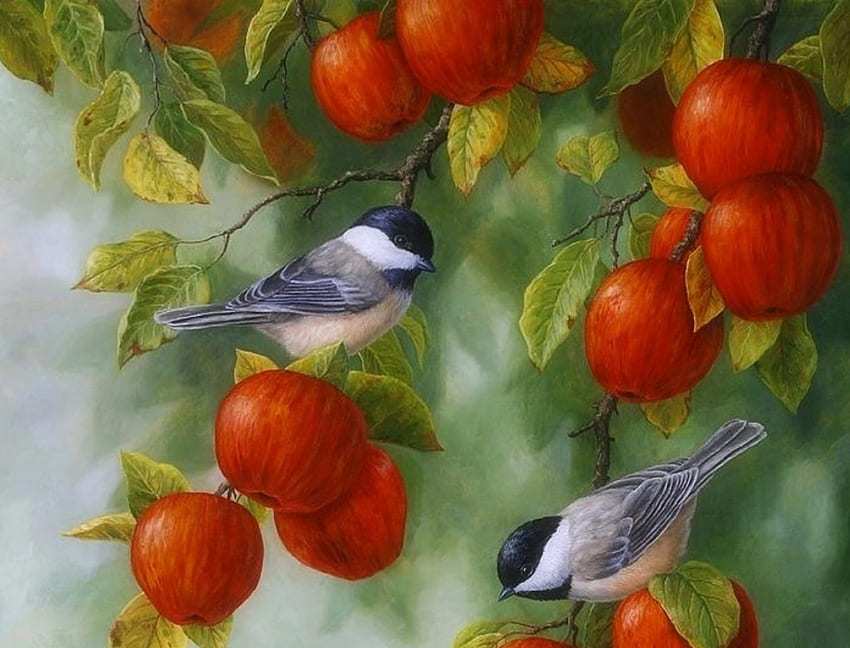 Autumn Chickadees & Apples, love four seasons, chickadees, birds, apples, animals, autumn, paintings, fall season HD wallpaper