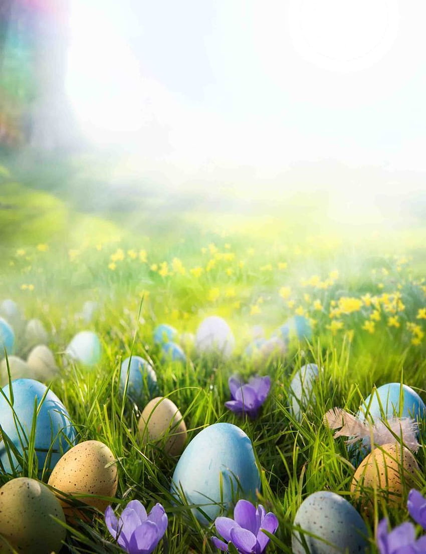 Printed Colorful Easter Eggs On The Grass In The Sunshine Backdrop, Easter Scenery HD phone wallpaper
