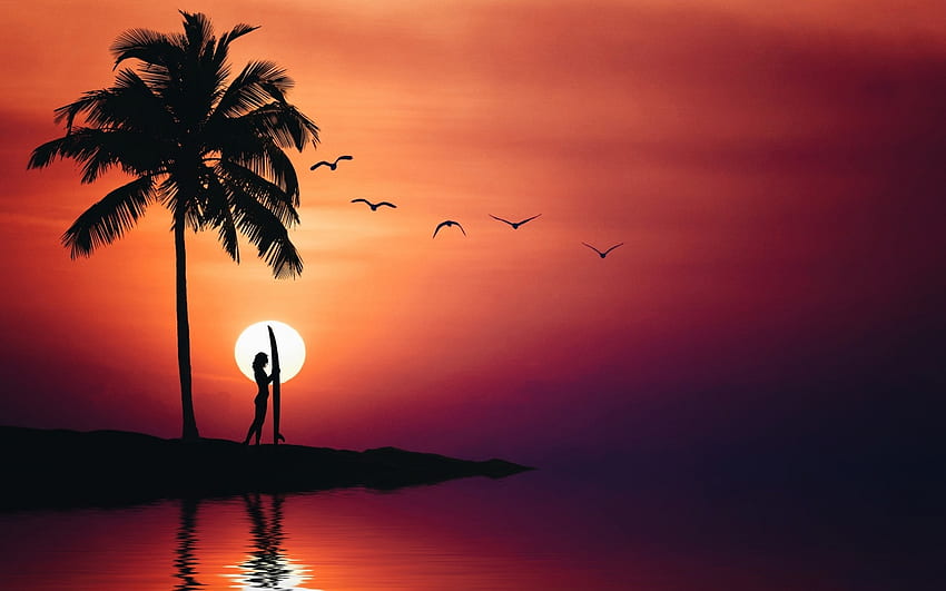 Sunset, black, bird, palm, orange, tree, woman, summer, vara, silhouette HD wallpaper