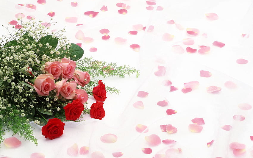 꽃, 장미, 꽃잎, 꽃다발, 로맨스 HD 월페이퍼