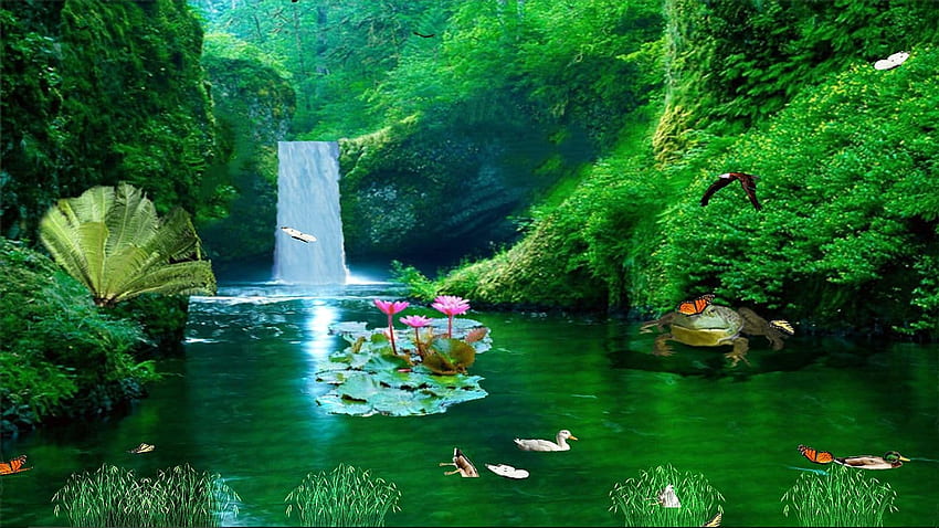 น้ำตกนิวซีแลนด์ - Waterfall Live Windows - - วอลล์เปเปอร์ HD