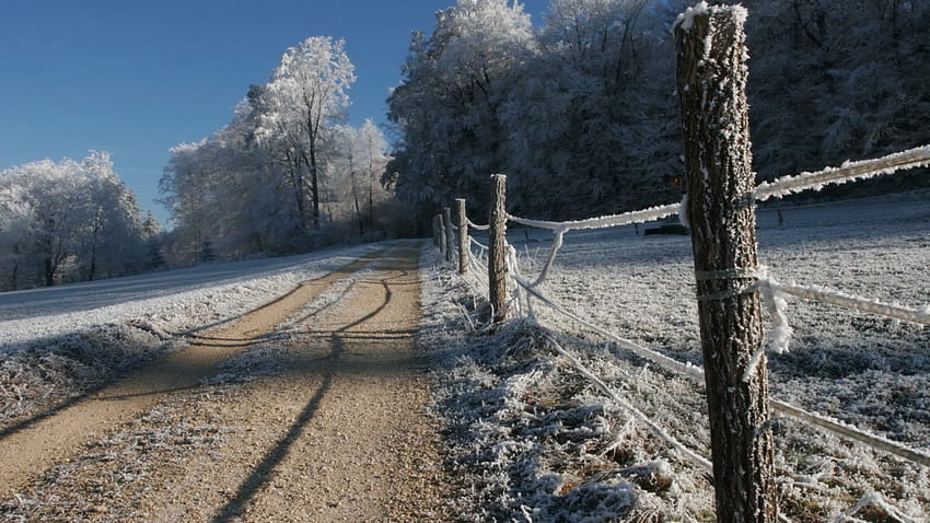 frosty country road, winter, fleds, fence, road, forest, fros HD wallpaper
