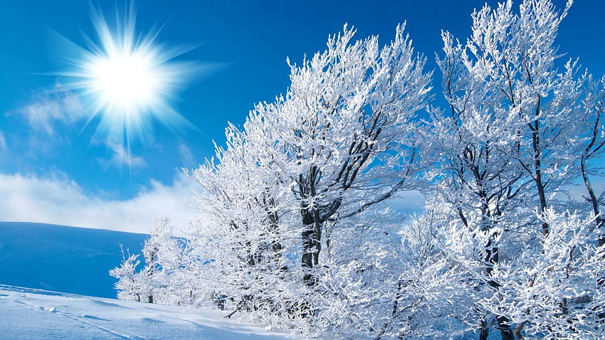 зима . hiver, Fond ecran nature, hiver, Winter Sun HD тапет