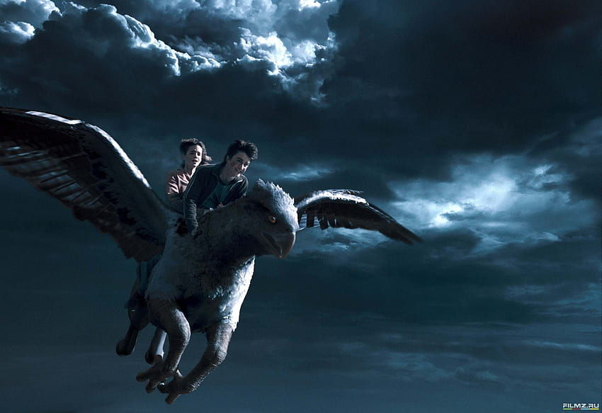 Prisoner Of Azkaban And - Harry And Hermione Hippogriff - HD wallpaper