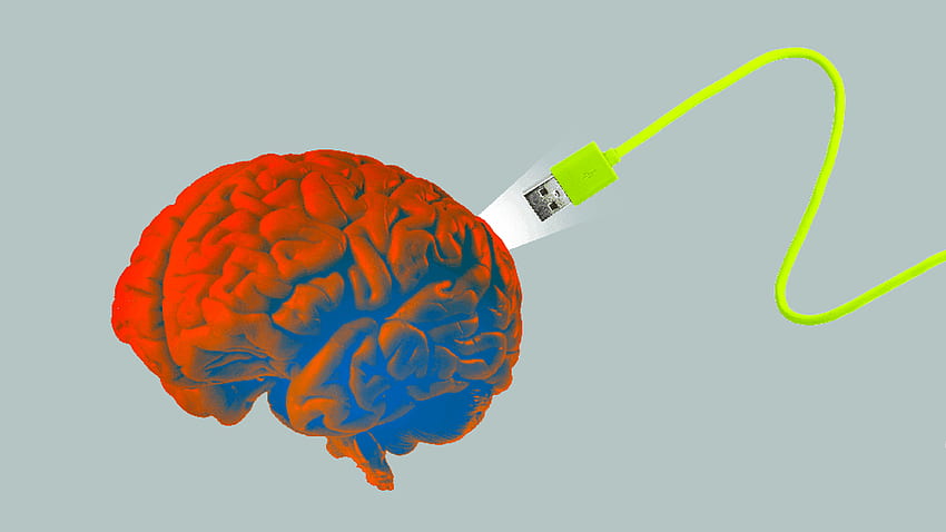 AI търси ново вдъхновение, мозък с изкуствен интелект HD тапет
