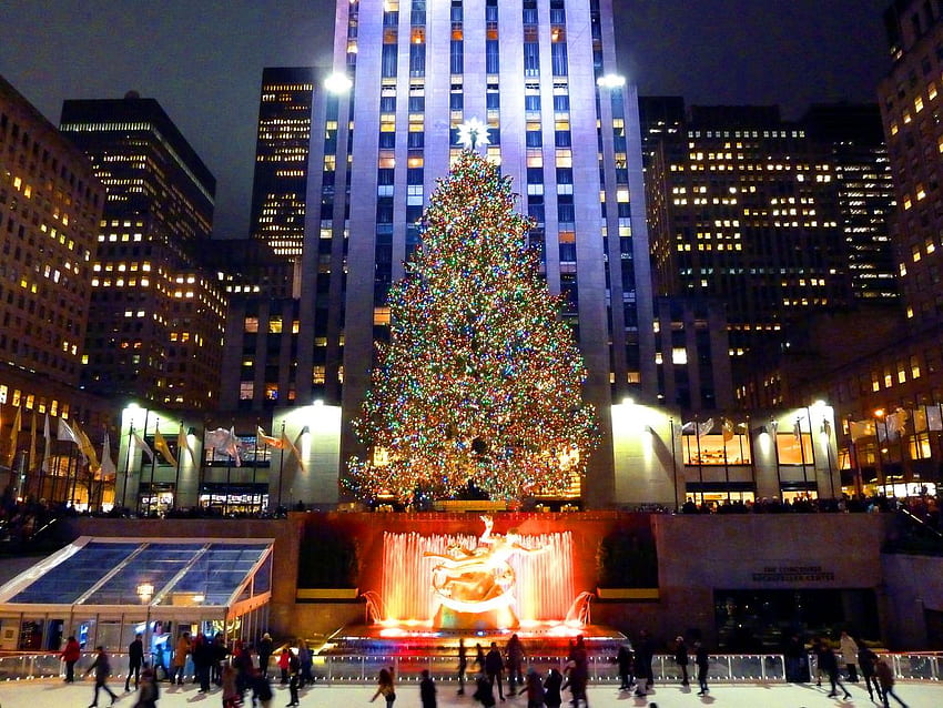 休日はここにあります！ - 夜のホテルのブログ。 ニューヨークのホテル、ニューヨーク タイムズ スクエアのクリスマス ツリー 高画質の壁紙