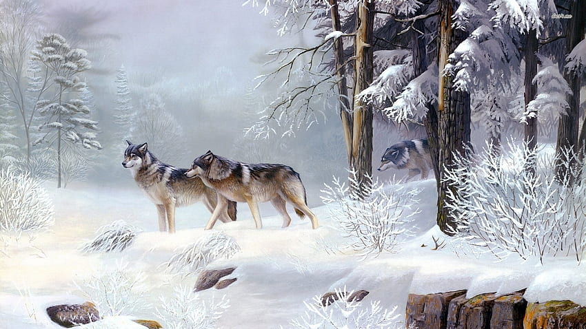 목재 늑대, 겨울, 늑대, 숲, 눈 HD 월페이퍼
