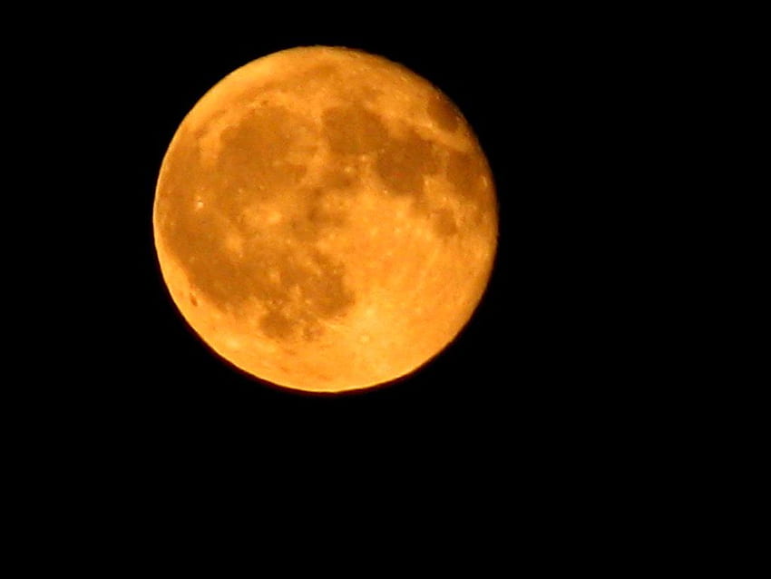 สีเหลือง ดวงจันทร์ บน the.rise. มีเมืองอยู่ทางตอนเหนือของออนแทรีโอ วอลล์เปเปอร์ HD