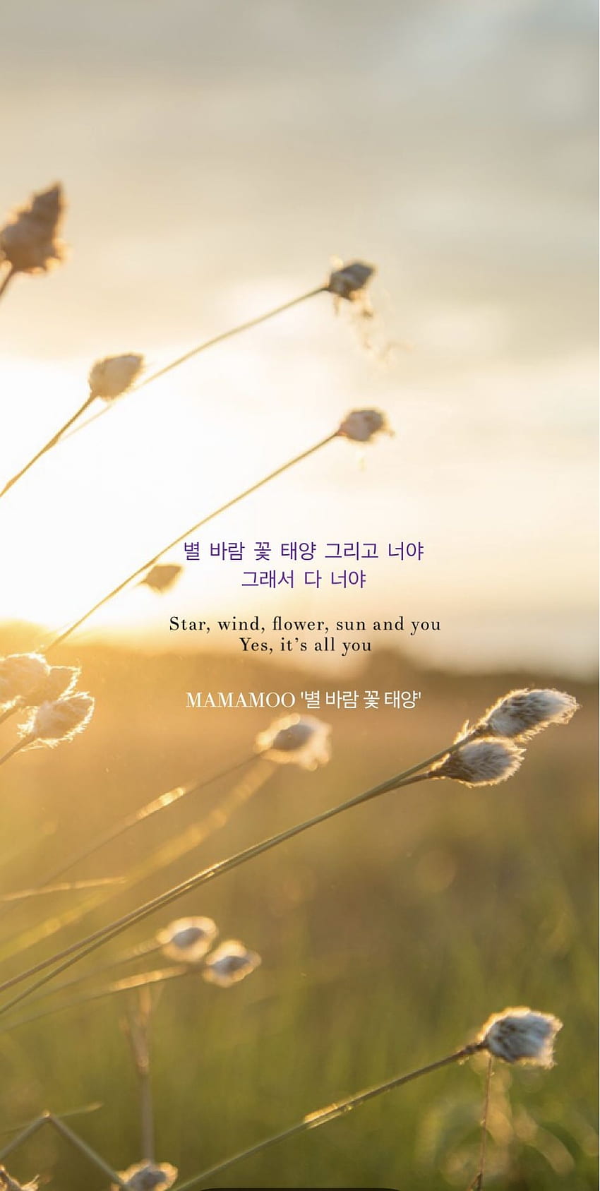 Mamamoo – Star Wind Flower Sun (별 바람 꽃 태양) 歌詞, Mamamoo Egotistic HD電話の壁紙