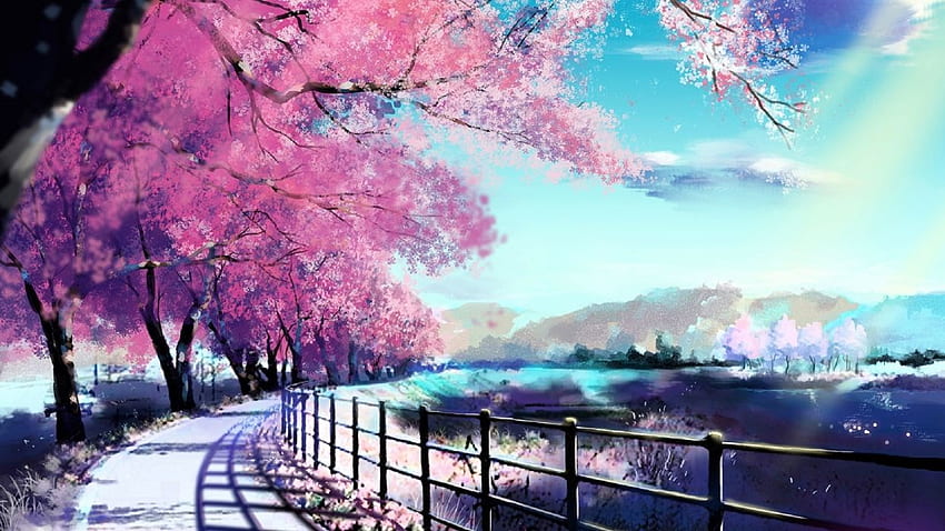Peinture de printemps de ciel de route de fleurs de cerisier. Fond d'écran HD