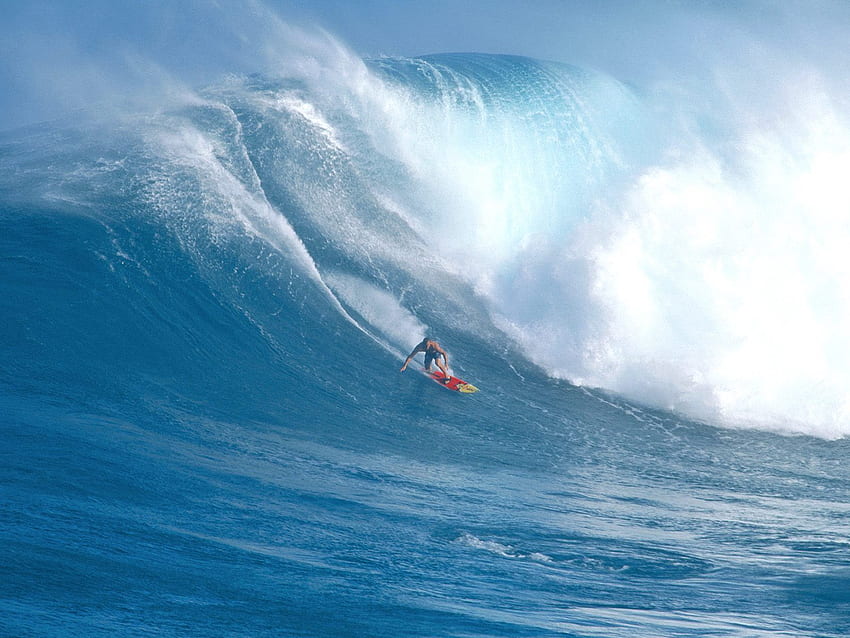 Sports, Serfing, Guy, Wave, Board, Hawaii HD wallpaper