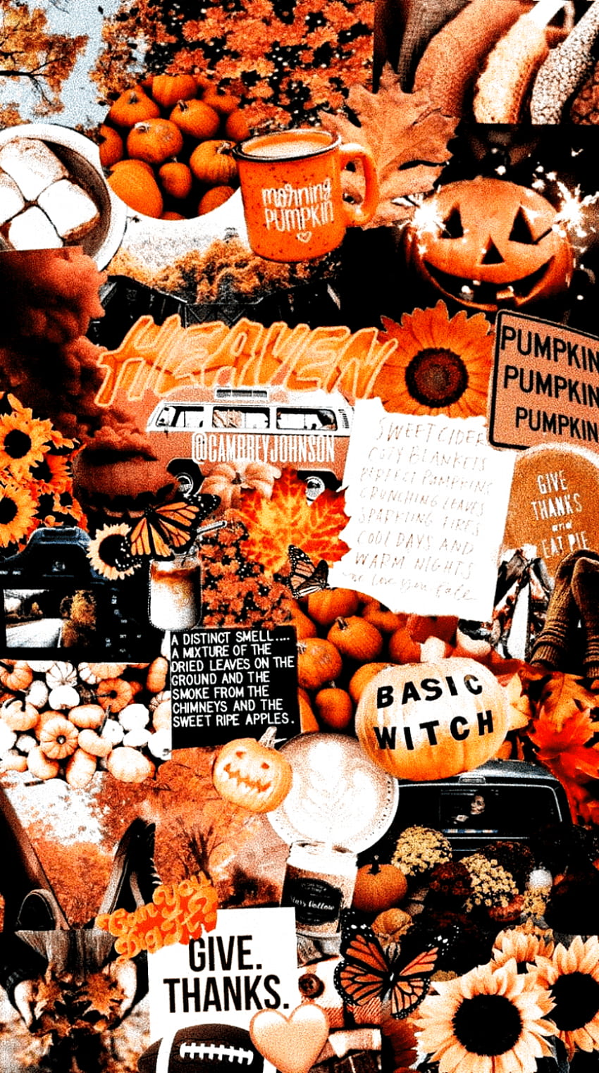 Aesthetic Halloween, Cute Aesthetic Halloween HD phone wallpaper | Pxfuel
