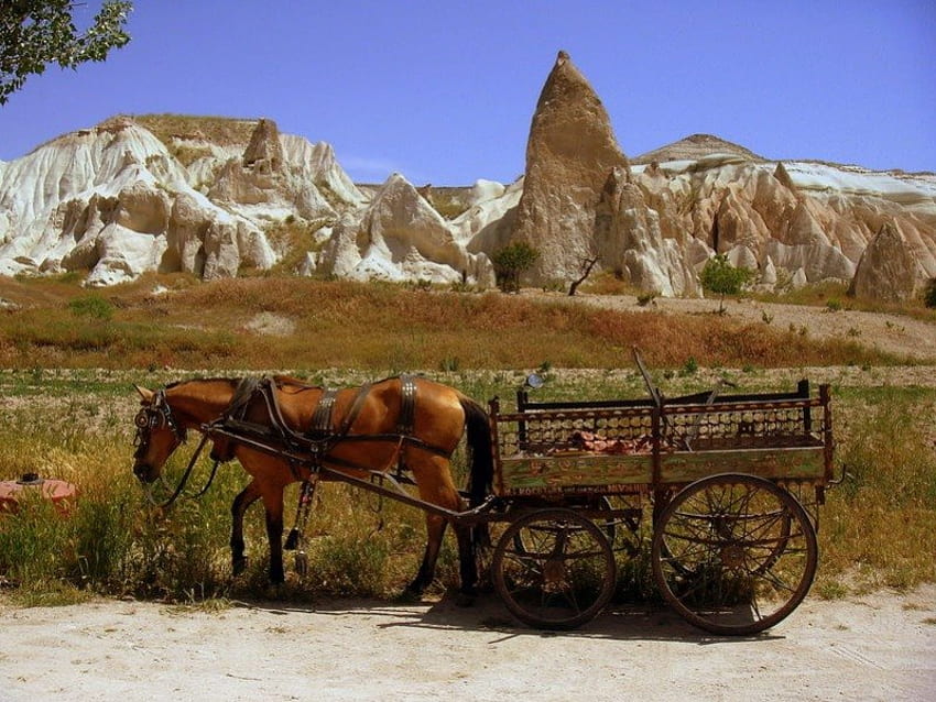 cappadocia means beautiful horses lands, cappodocia, turkey, chimney of fairy HD wallpaper