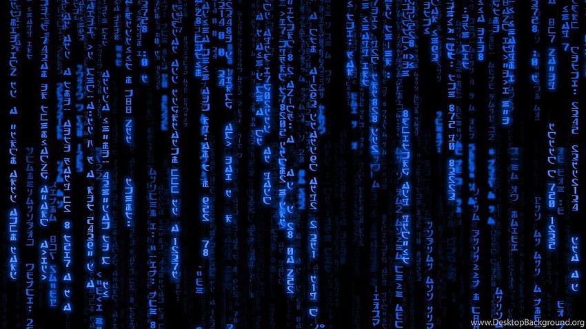 Hình nền Blue Matrix kết hợp giữa sắc xanh lạnh của kỹ thuật số và vô vàng những chữ số thập phân. Những đường kẻ điểm xuyết giúp tạo nên một tác phẩm nghệ thuật kỳ lạ và đầy tiềm năng. Nếu bạn muốn trang trí máy tính của mình bằng một hình nền độc đáo, đây chắc chắn là một lựa chọn không thể bỏ qua.