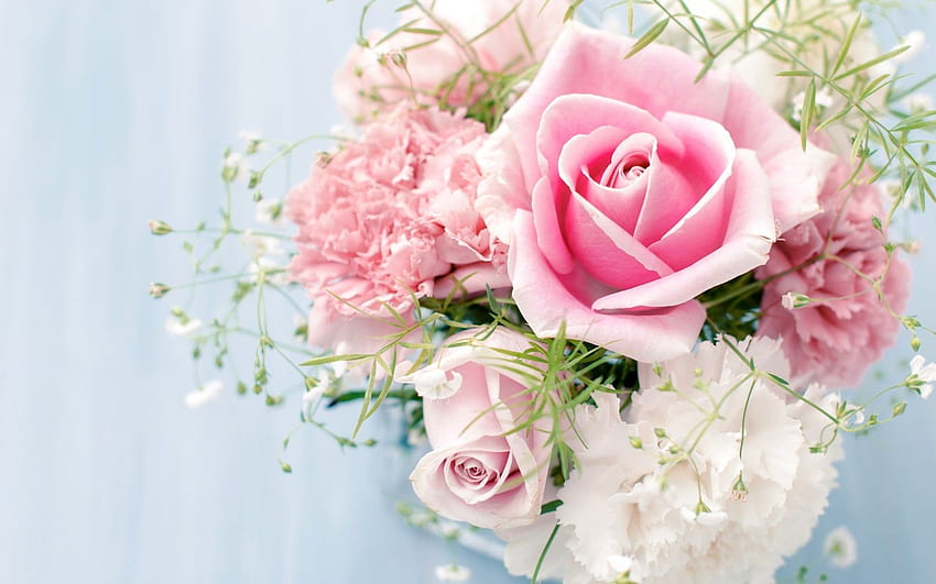 Flowers: Roses Flowers White Wall Love Bouquet Beauty Softness Pink, Pastel Facebook HD wallpaper