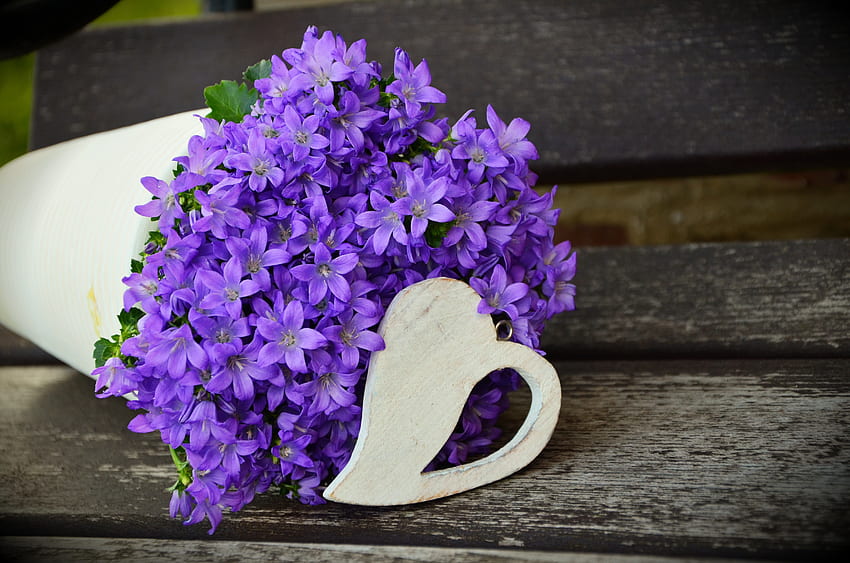 花, バイオレット, 花束, 紫 高画質の壁紙