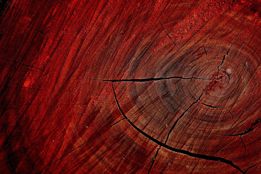 木材, テクスチャー, マクロ, 自然, 木, 赤 高画質の壁紙