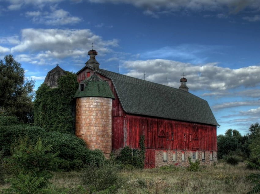 Red Barn Ivy, paesaggio, natura Sfondo HD