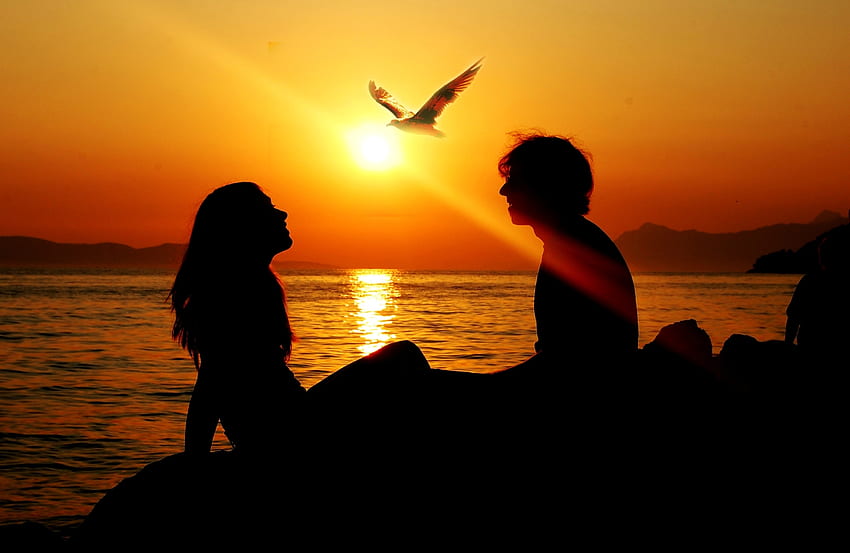 Sunset, Sea, Sun, Summer, Love, Silhouette, Bird, Girl, Man, Gull, Seagull, dom, Ray HD wallpaper