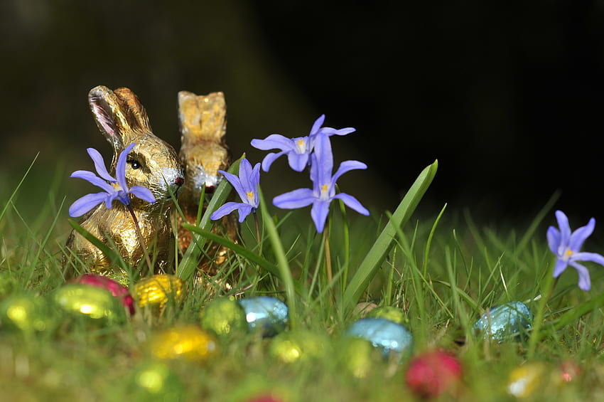 Празници, Цветя, Трева, Яйца, Великден, Шоколадови зайчета, Шоколадови зайци HD тапет