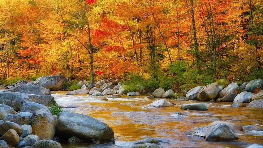 Fall Season . Fall. landscape, Nature HD wallpaper | Pxfuel