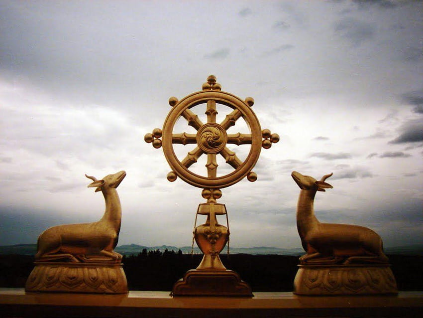 Dharma, Dharma-Rad HD-Hintergrundbild