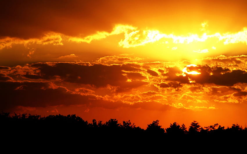 Golden Sky Sunset, Orange Sky HD wallpaper | Pxfuel