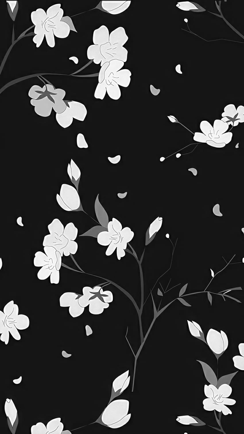 about black in , Dark Cherry Blossom HD phone wallpaper