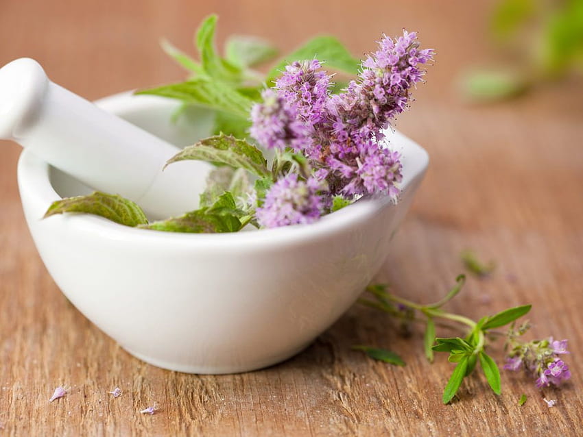 Herbal Medicine. Medical Herbs. Dr. Weil's Wellness Therapies, Medical Flower HD wallpaper