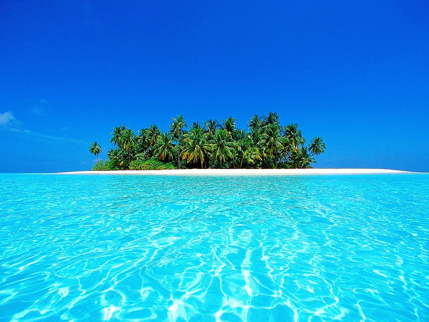 Landscape, Sea, Palms HD wallpaper