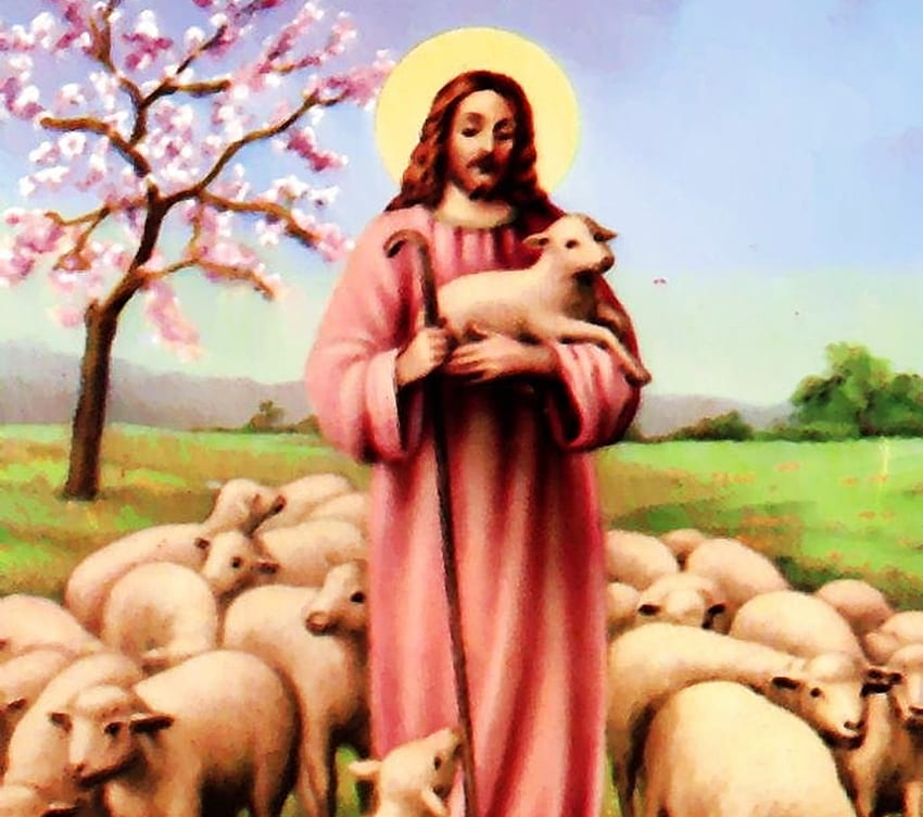 イエス 良い羊飼い, イエス, キリスト, 羊飼い, 羊 高画質の壁紙