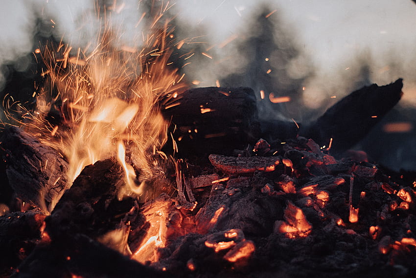 Fire, Bonfire, Coals, Sparks, , , Ash HD wallpaper