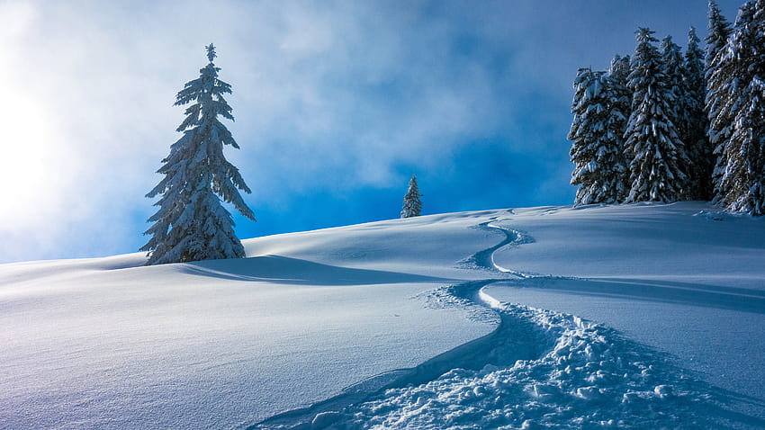 아름 다운 겨울 풍경 얼어붙은 나무 숲 흰 구름 푸른 하늘 배경 자연에서 눈 필드 HD 월페이퍼