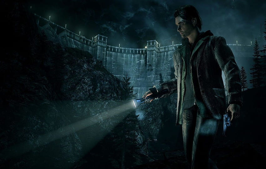 forest, night, the darkness, flashlight, Alan Wake HD wallpaper