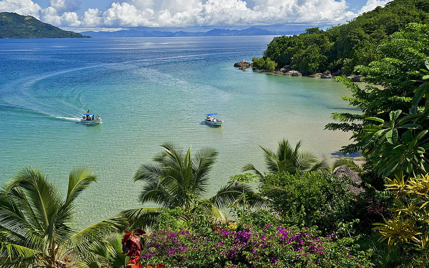Madagascar, tropical island, ocean, bay, purple flowers, beautiful island, summer travel HD wallpaper