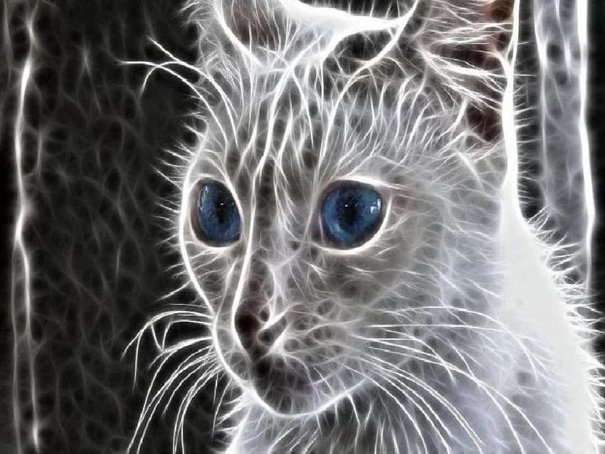 fraktal kedi, kedi, fraktal HD duvar kağıdı