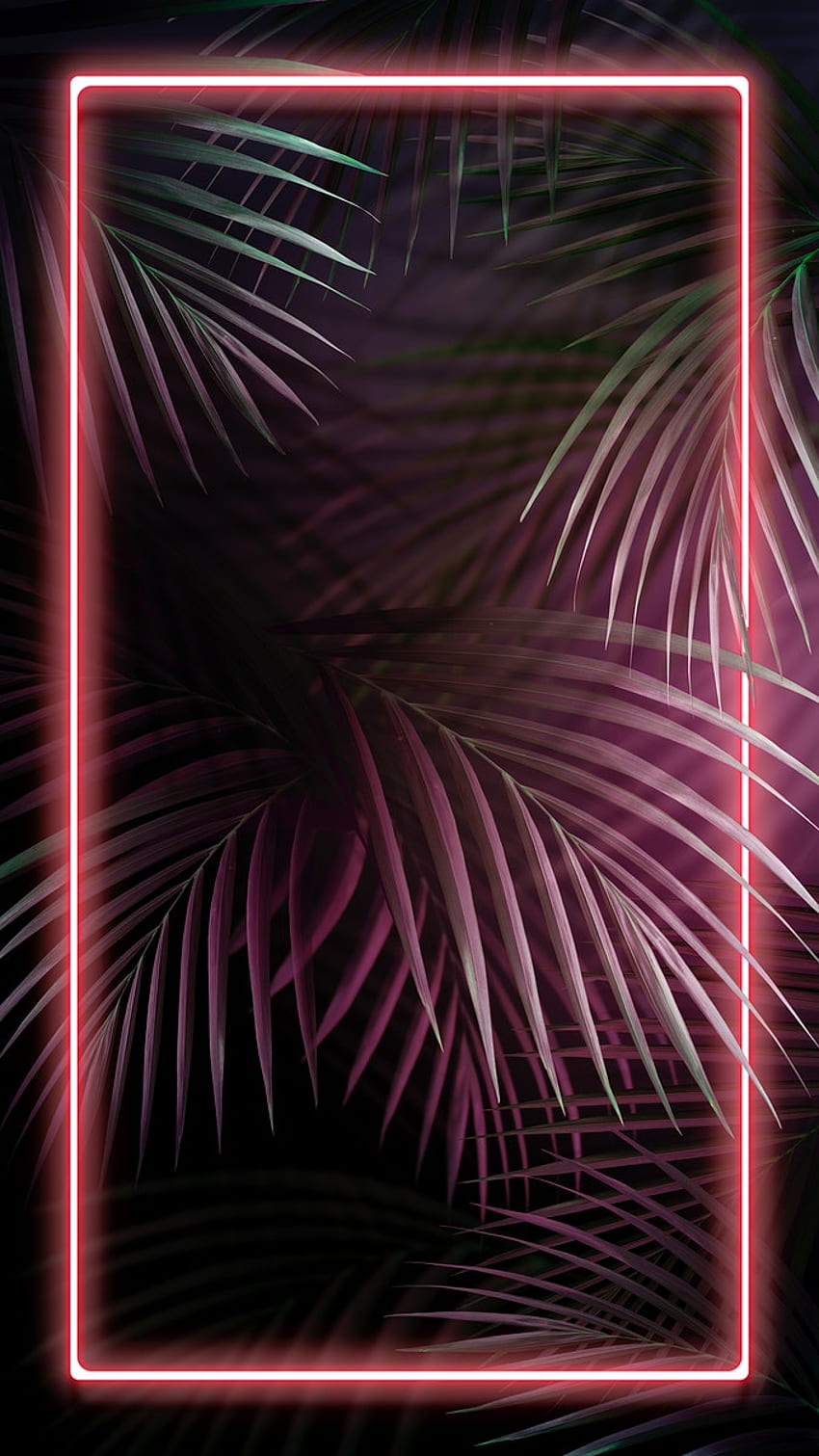 Teléfono con luces de neón rosa tropical fondo de pantalla del teléfono