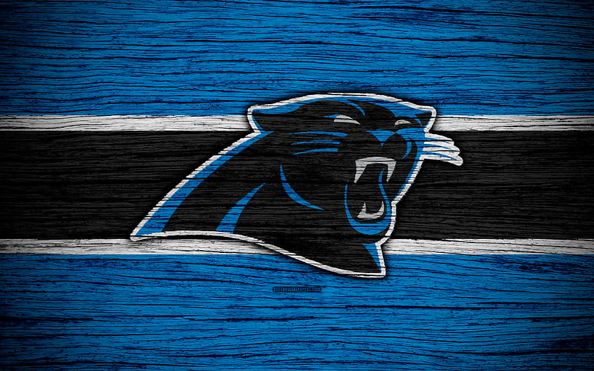 Carolina Panthers, NFL, , wooden texture, american football, logo, emblem, Charlotte, North Carolina, USA, National Football League, NFC South for with resolution . High Quality HD wallpaper