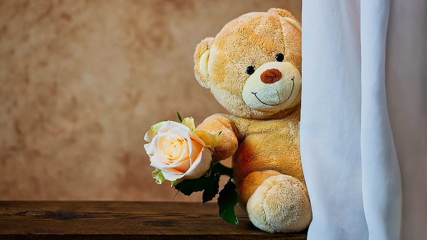 Cute Teddy Bear with Rose HD wallpaper | Pxfuel