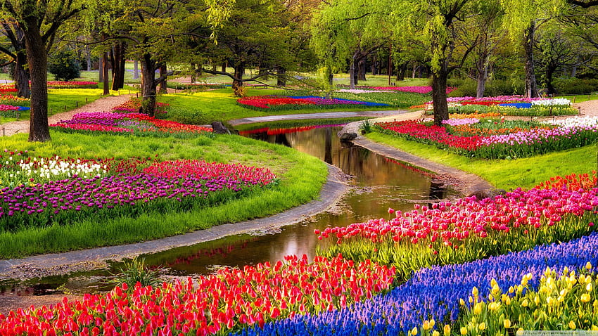 Beautiful Spring Garden Ultra Background for U TV : & UltraWide & Laptop : Tablet : Smartphone, Spring Weather HD wallpaper