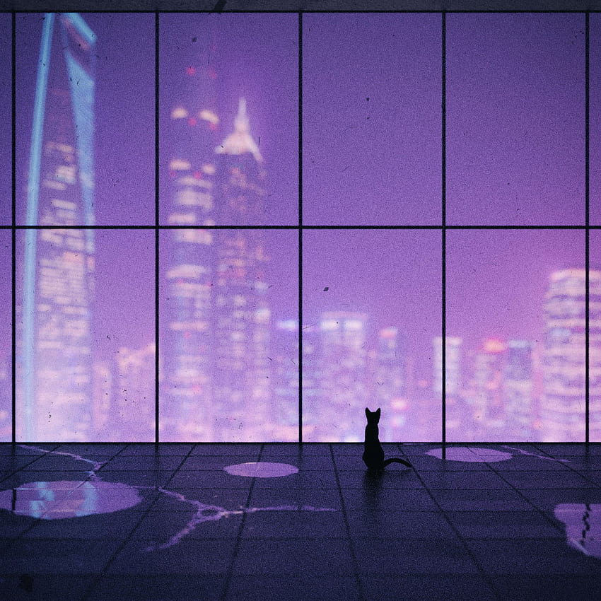 Art, City, Cat, Overview, Review, Window HD phone wallpaper