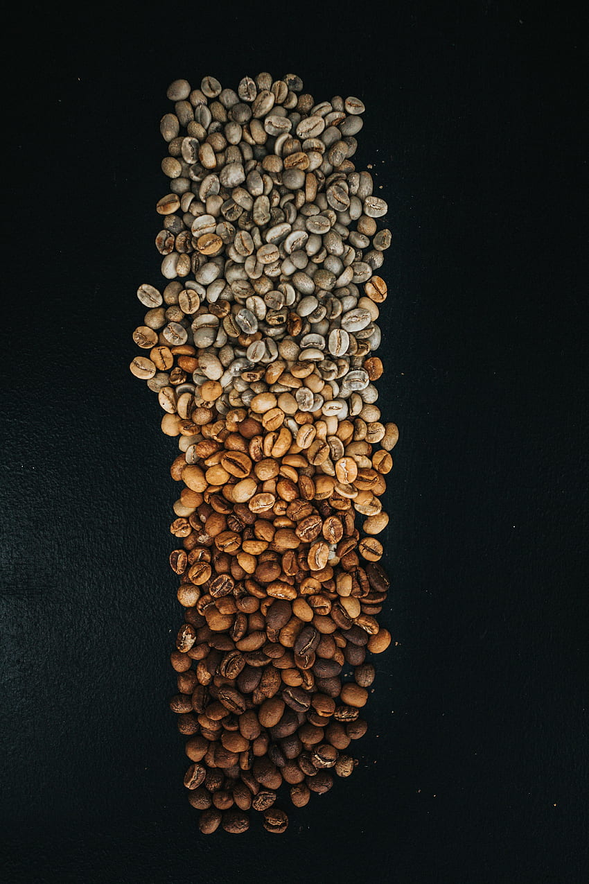 Food, Coffee, Brown, Gradient, Grains, Coffee Beans, Grain HD phone wallpaper