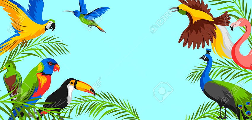 Background With Tropical Exotic Birds Wild Fauna Of Jungle And [] for your , Mobile & Tablet. Explore Bird Background. Bird , Bird, Bird HD wallpaper