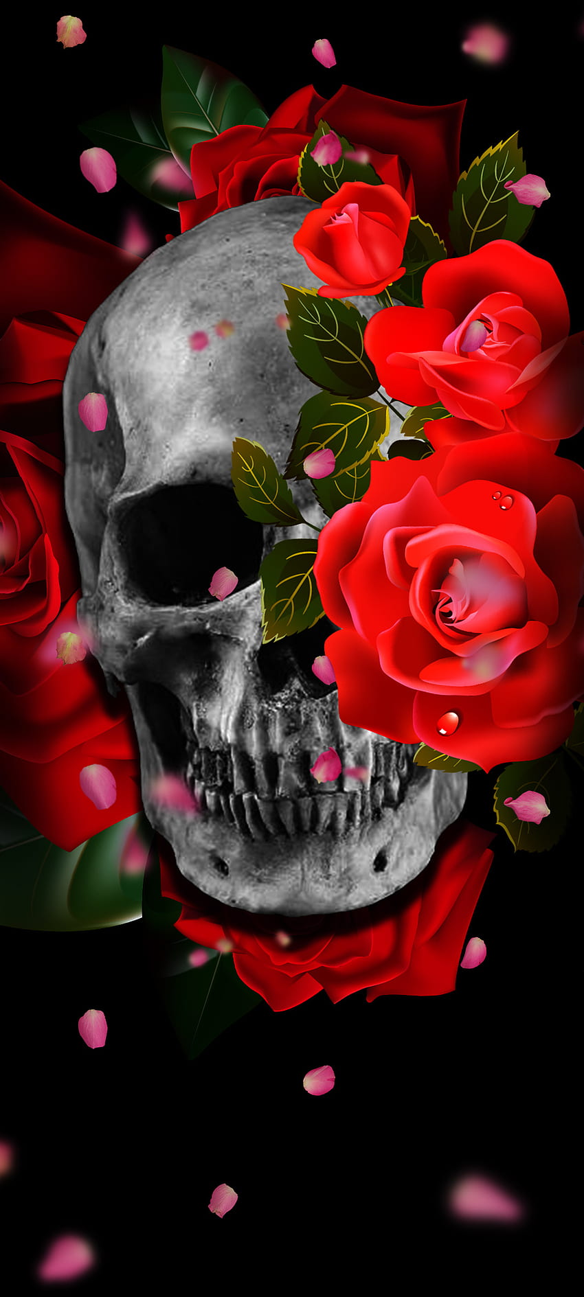 Floral Skull, Design, Roses, Skulls, Flowers, Gaphics, IOS, Graphic Design, Android HD phone wallpaper