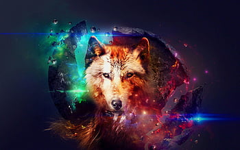 Free download Space Wolf by NicholasKay on 800x1000 for your Desktop  Mobile  Tablet  Explore 50 Space Wolves Wallpaper  Free Wolves Wallpaper  Wallpaper Wolves Wolves Wallpaper