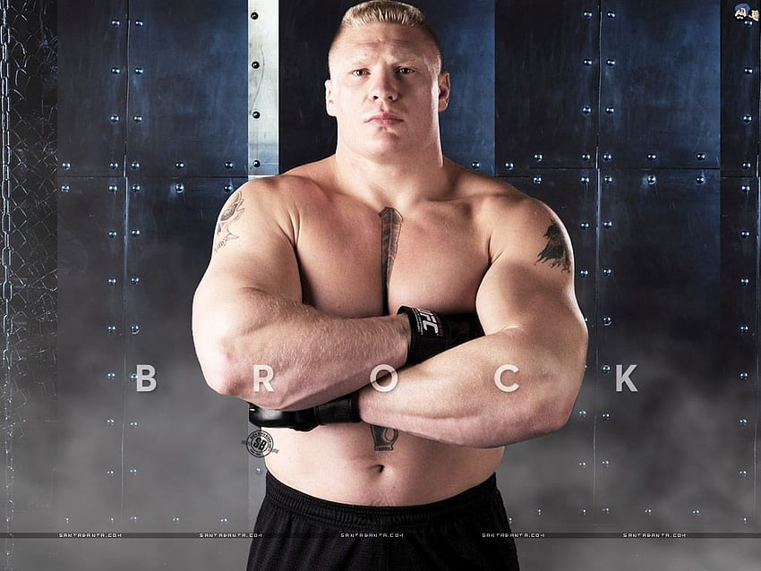 Page 5 | wwe of brock lesnar HD wallpapers | Pxfuel