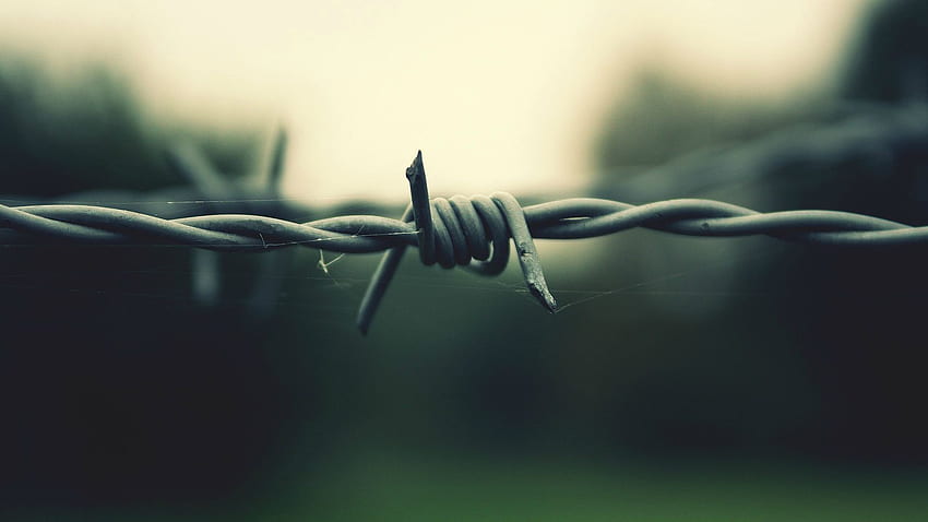 Barb Wire. Barbed wire, Wire, Facebook cover, Barbed Wire Fences HD wallpaper